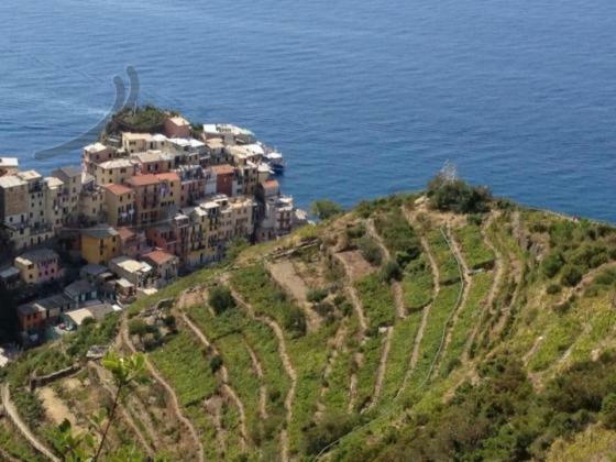 Appartamento Vacanze "Borgo Cinque Terre" Volastra Manarola Kültér fotó