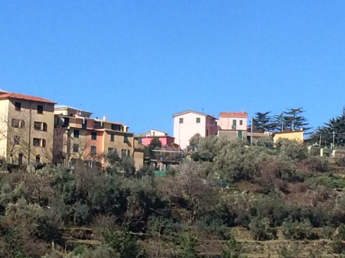 Appartamento Vacanze "Borgo Cinque Terre" Volastra Manarola Kültér fotó