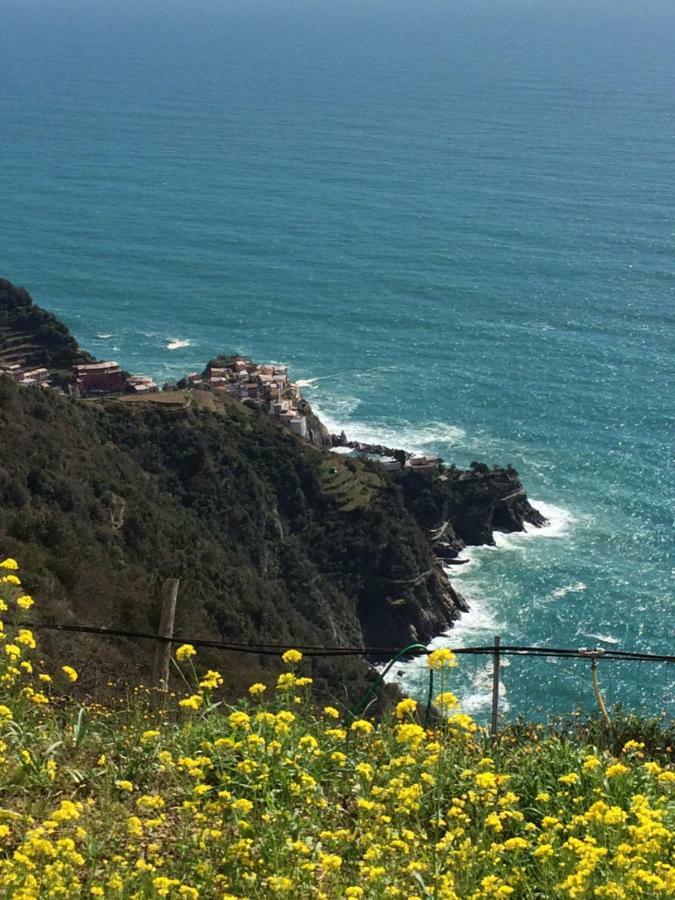 Appartamento Vacanze "Borgo Cinque Terre" Volastra Manarola Kültér fotó